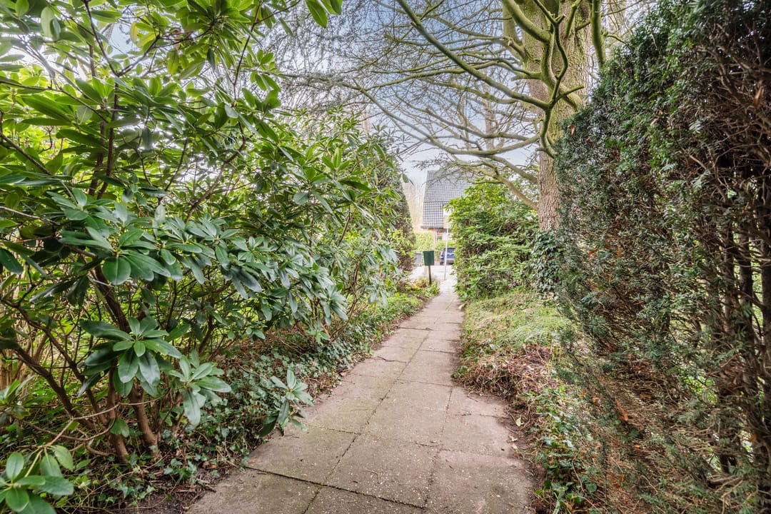 Foto 47 van Dennenlaan 55