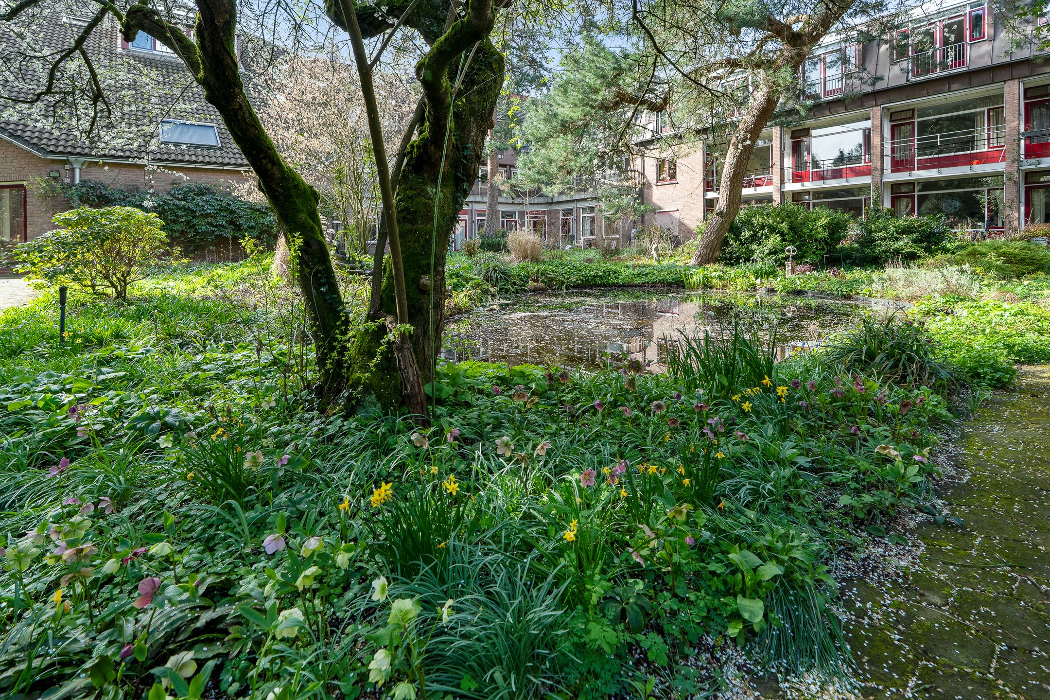 Foto 33 van Van Tetslaan 15