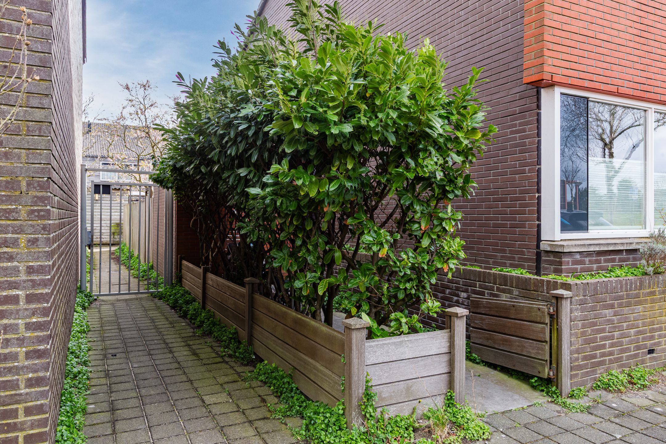 Foto 6 van Pesetalaan 49