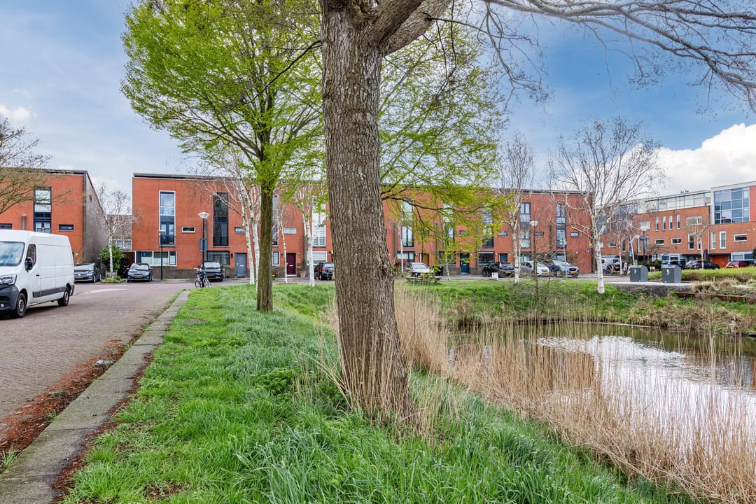 Foto 38 van Pesetalaan 49