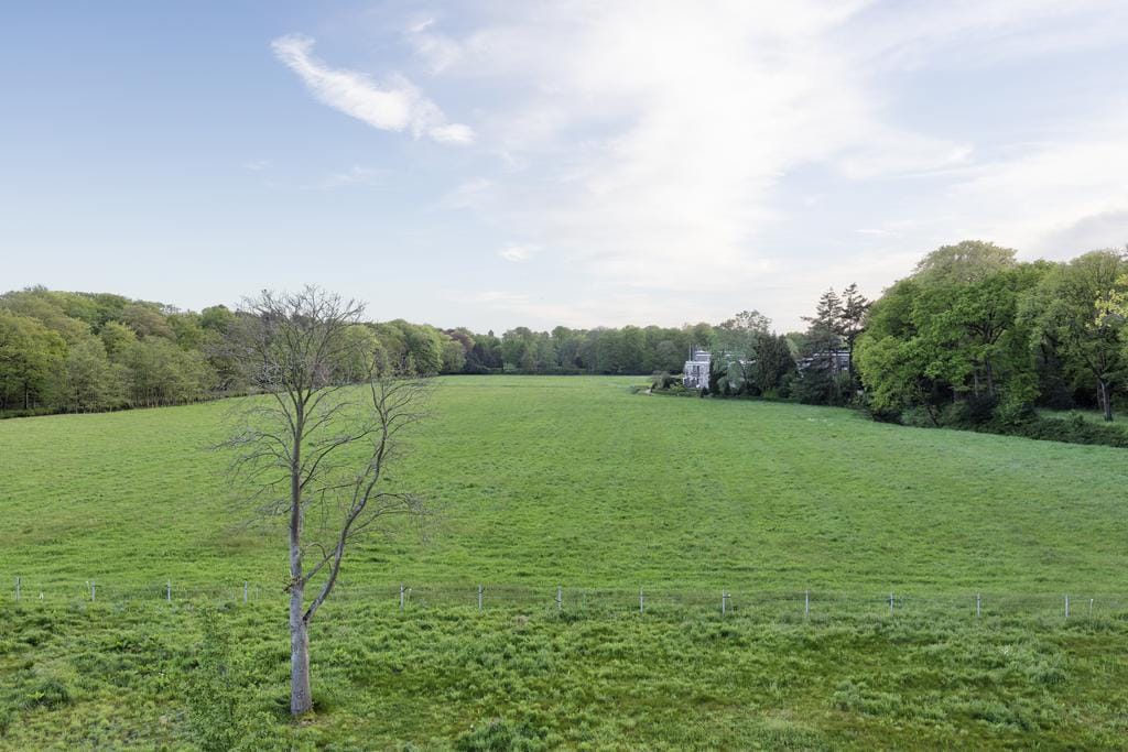 Foto 41 van Burgemeester Schoute Park 53