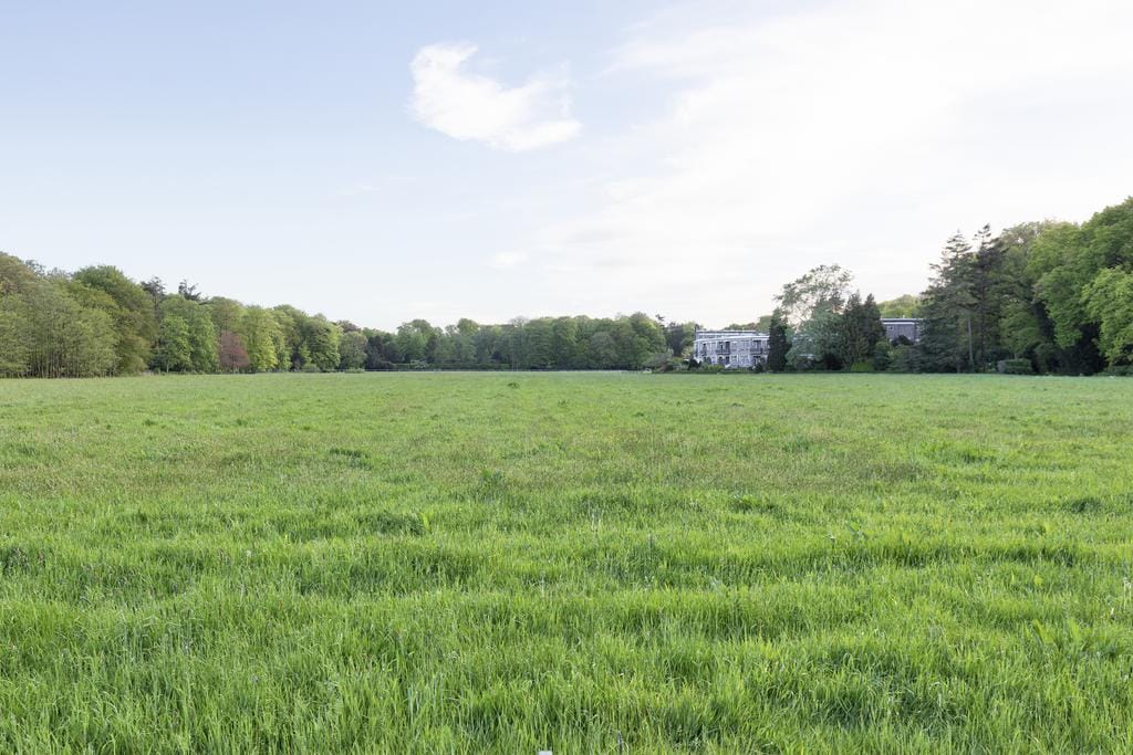 Foto 43 van Burgemeester Schoute Park 53