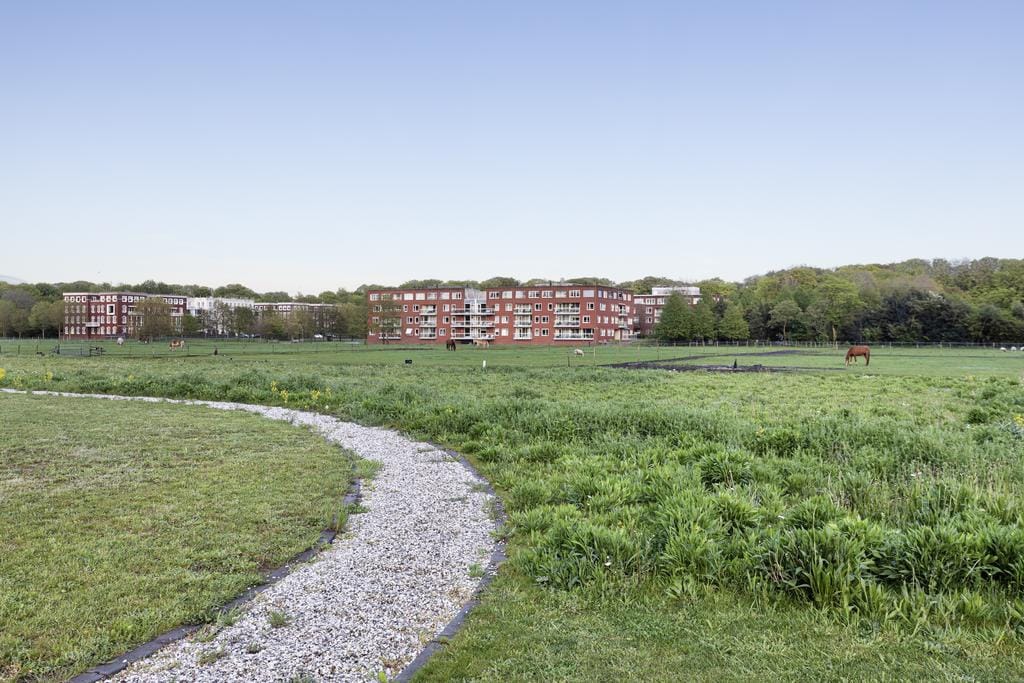 Foto 44 van Burgemeester Schoute Park 53