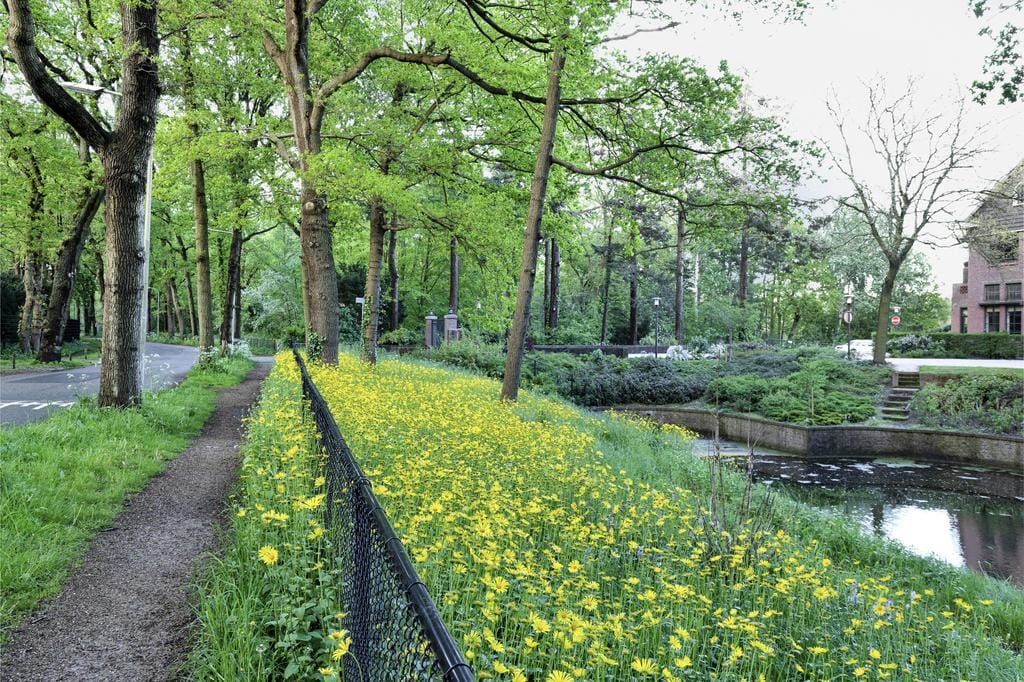 Foto 46 van Burgemeester Schoute Park 53