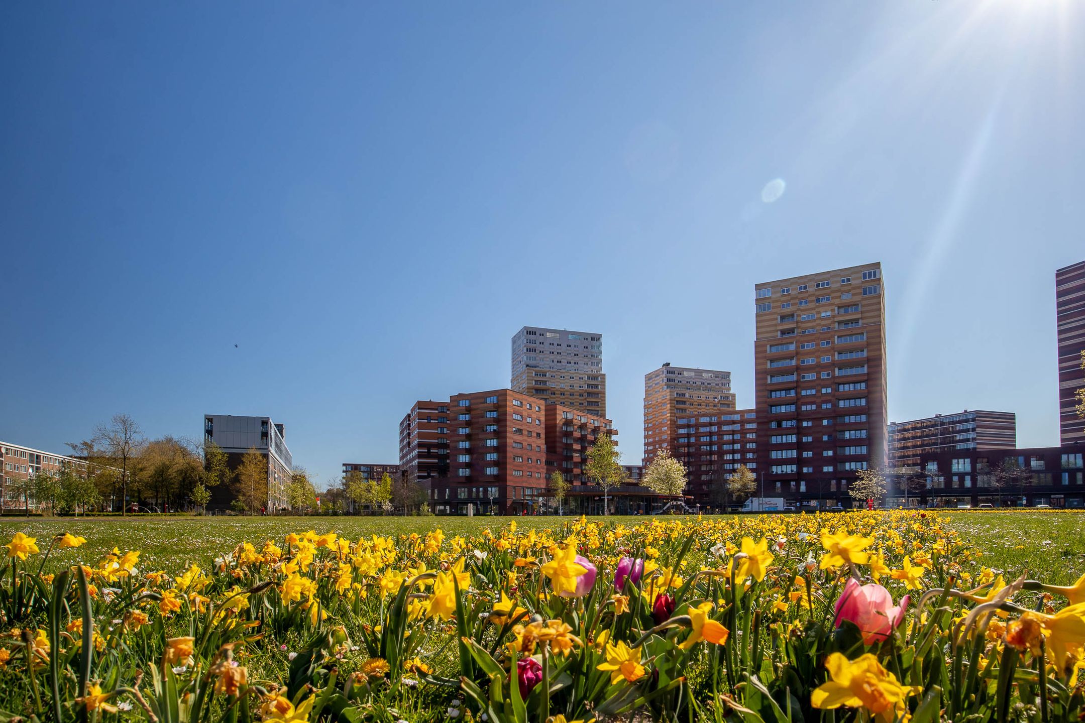 Foto 33 van Corversbosstraat 103