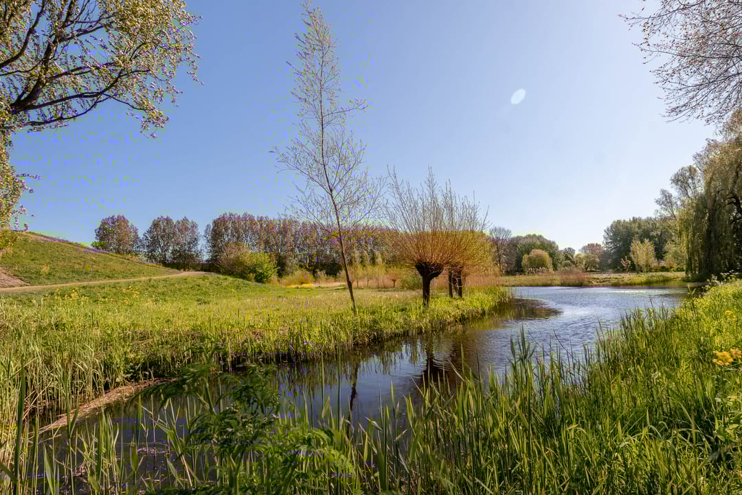 Foto 31 van Corversbosstraat 103