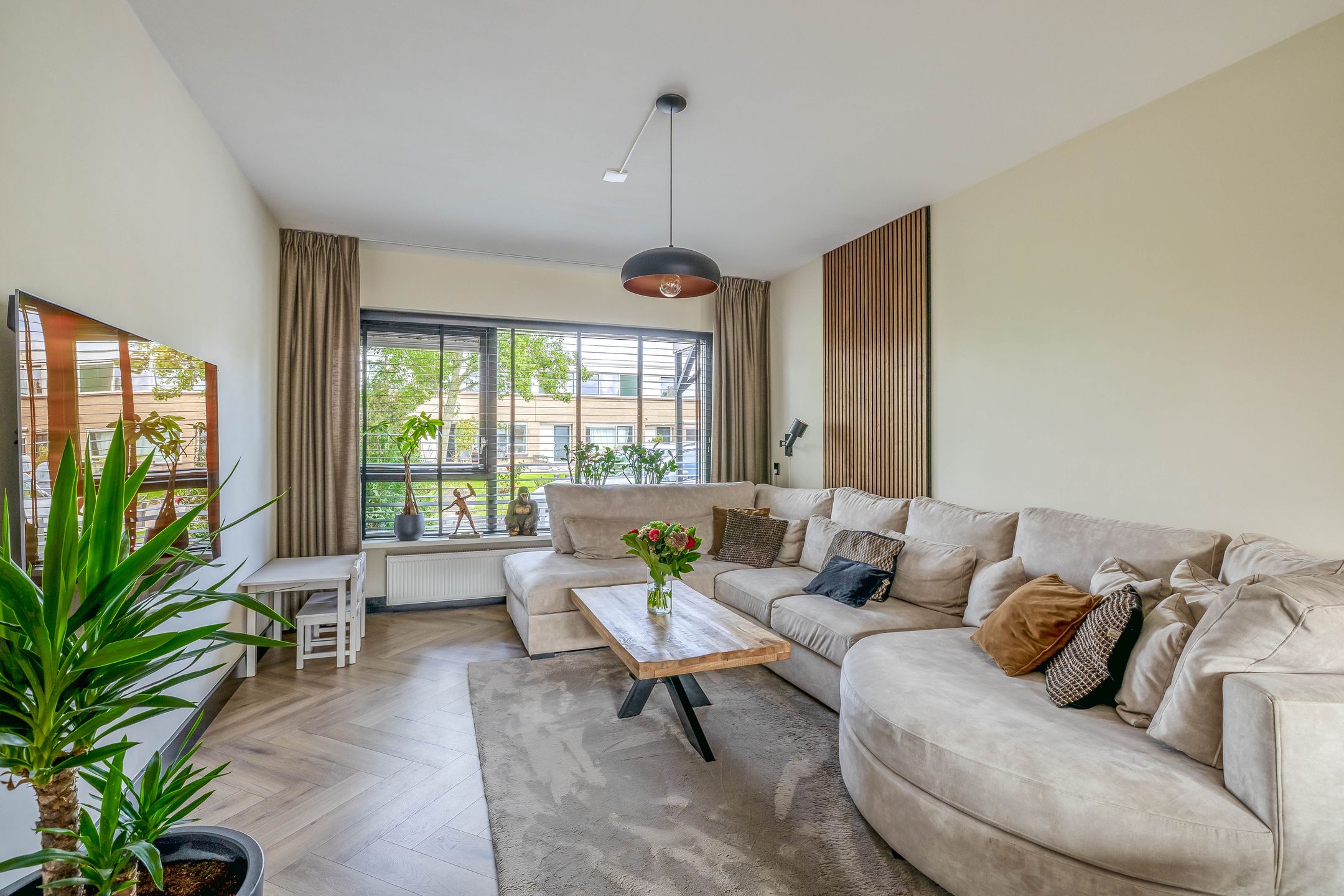 Photo 9 of Galjoot 16