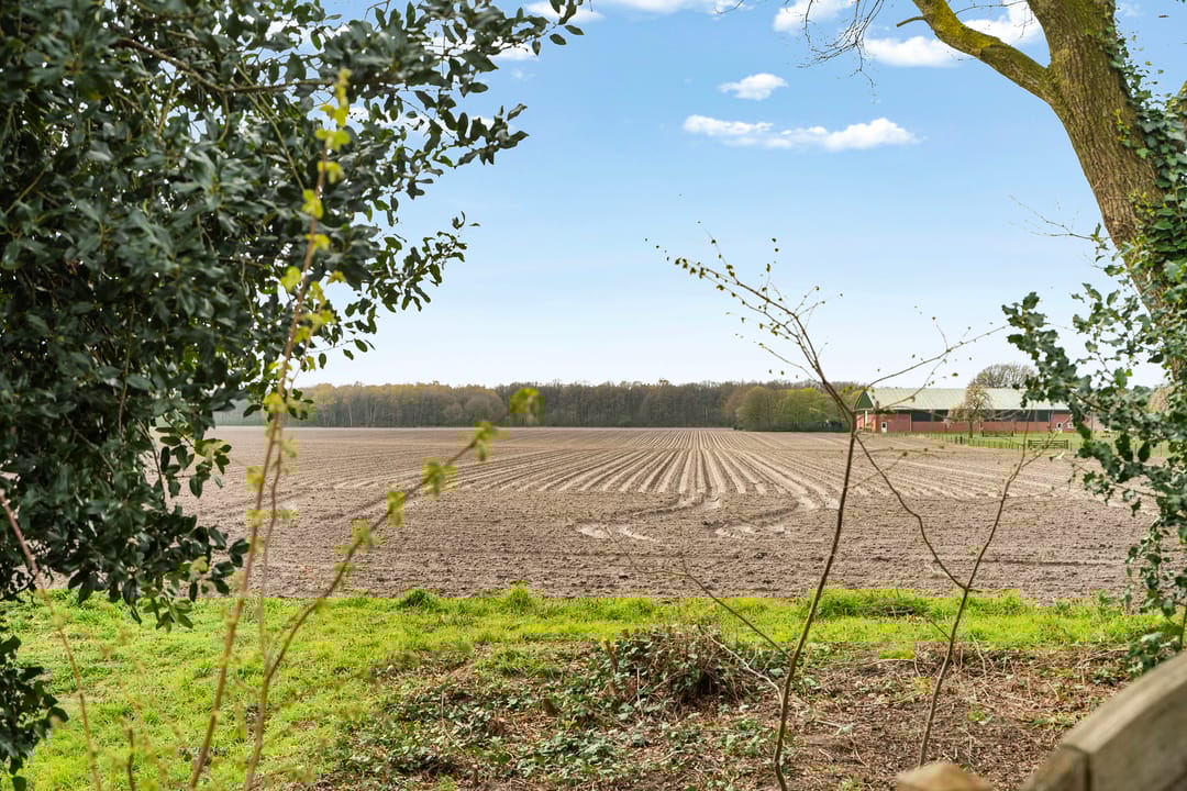 Foto 38 van Meester Henckensstraat 16