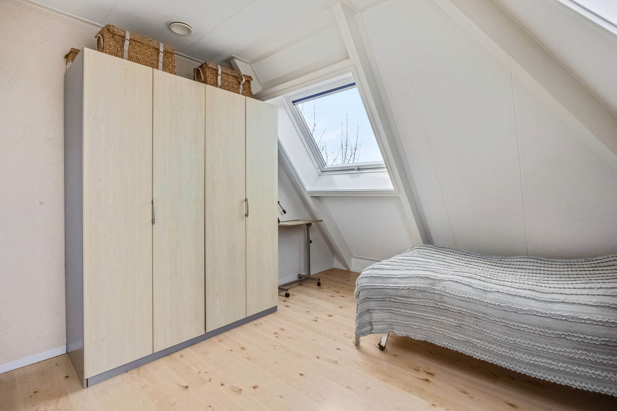 Foto 33 van Catamaran 3