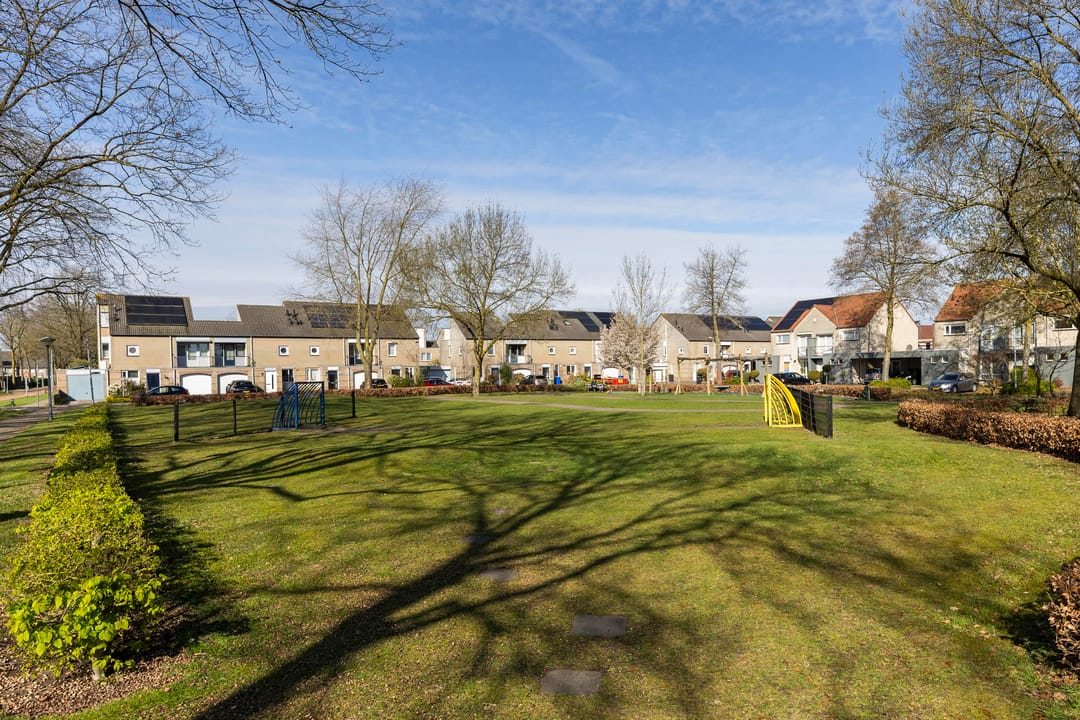 Photo 43 of Reiger 3