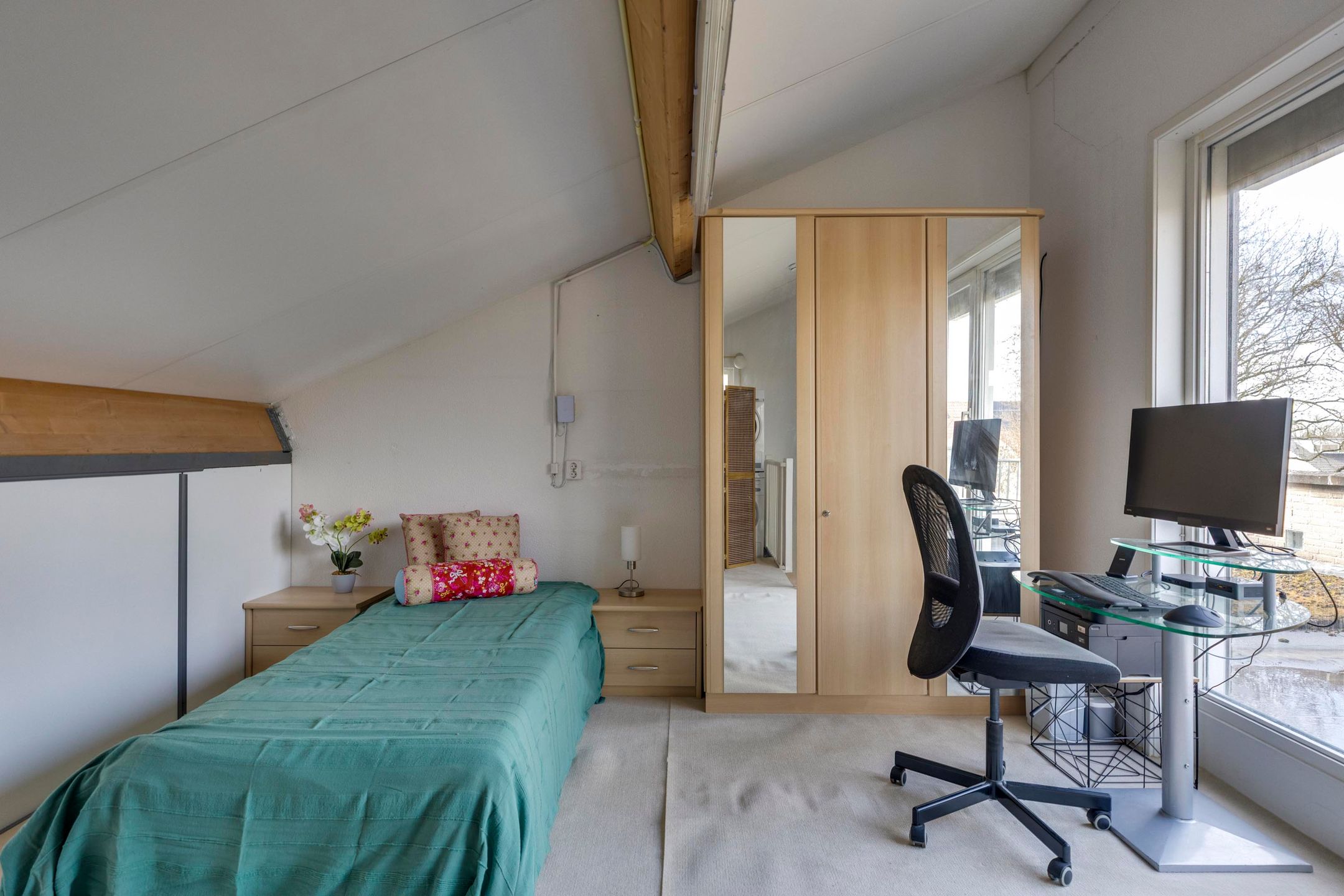 Photo 24 of Reiger 3