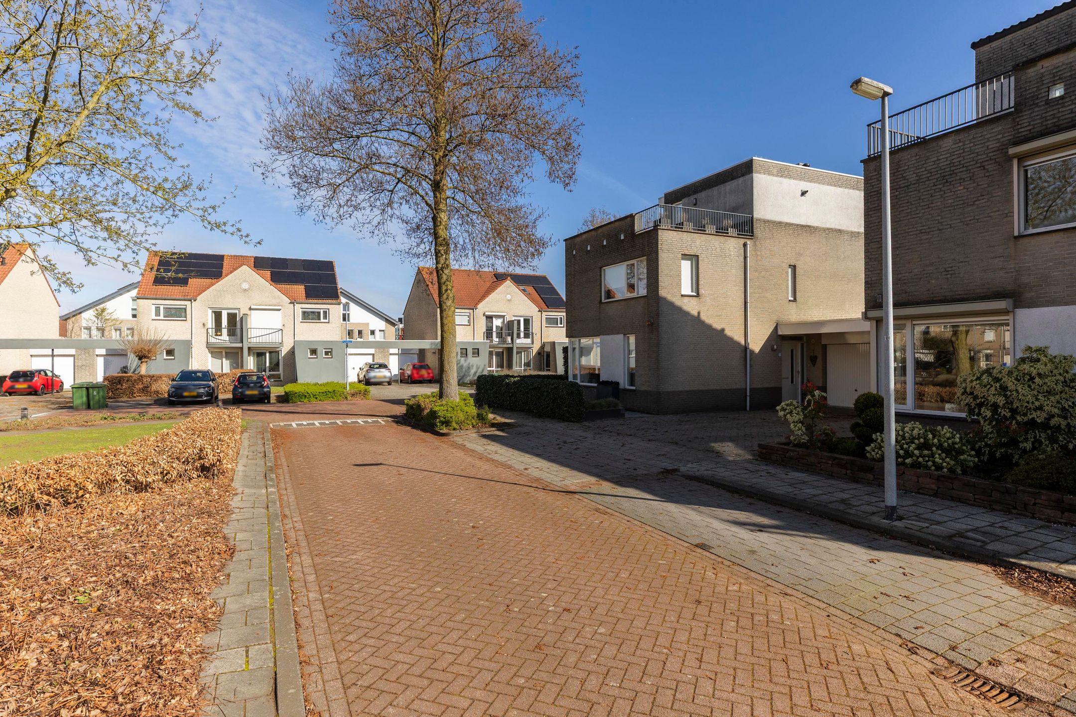 Photo 42 of Reiger 3