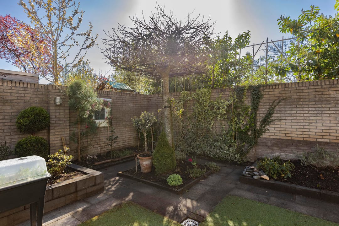 Photo 32 of Reiger 3