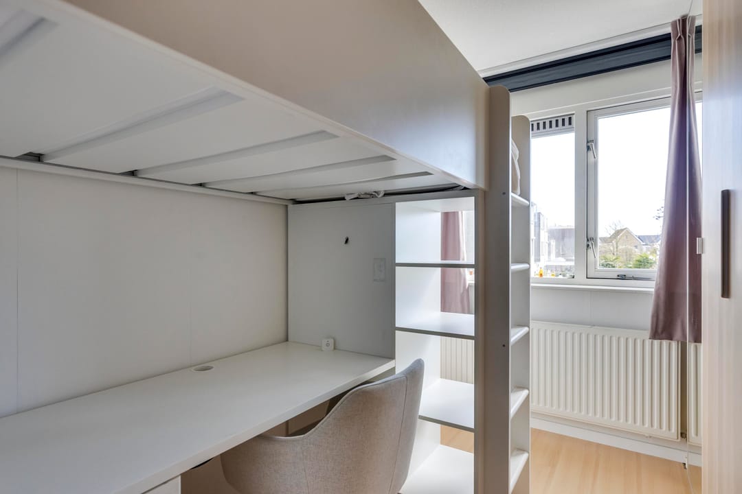 Photo 16 of Reiger 3