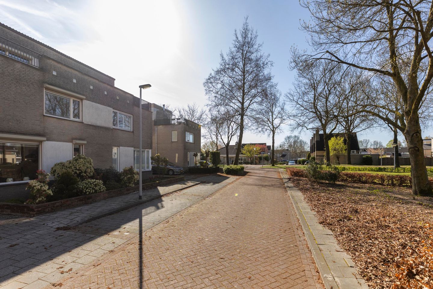 Photo 40 of Reiger 3