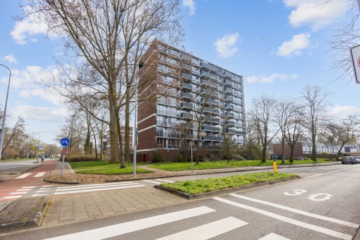 Foto 5 van Meerpaal 114