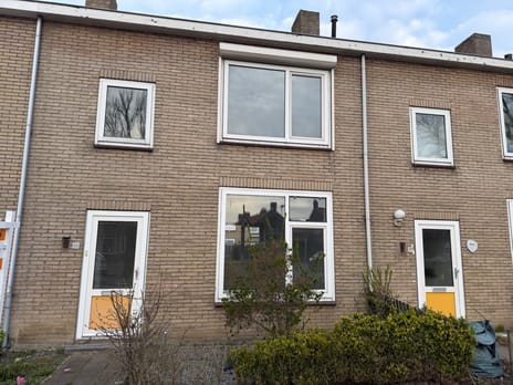 undefined main image