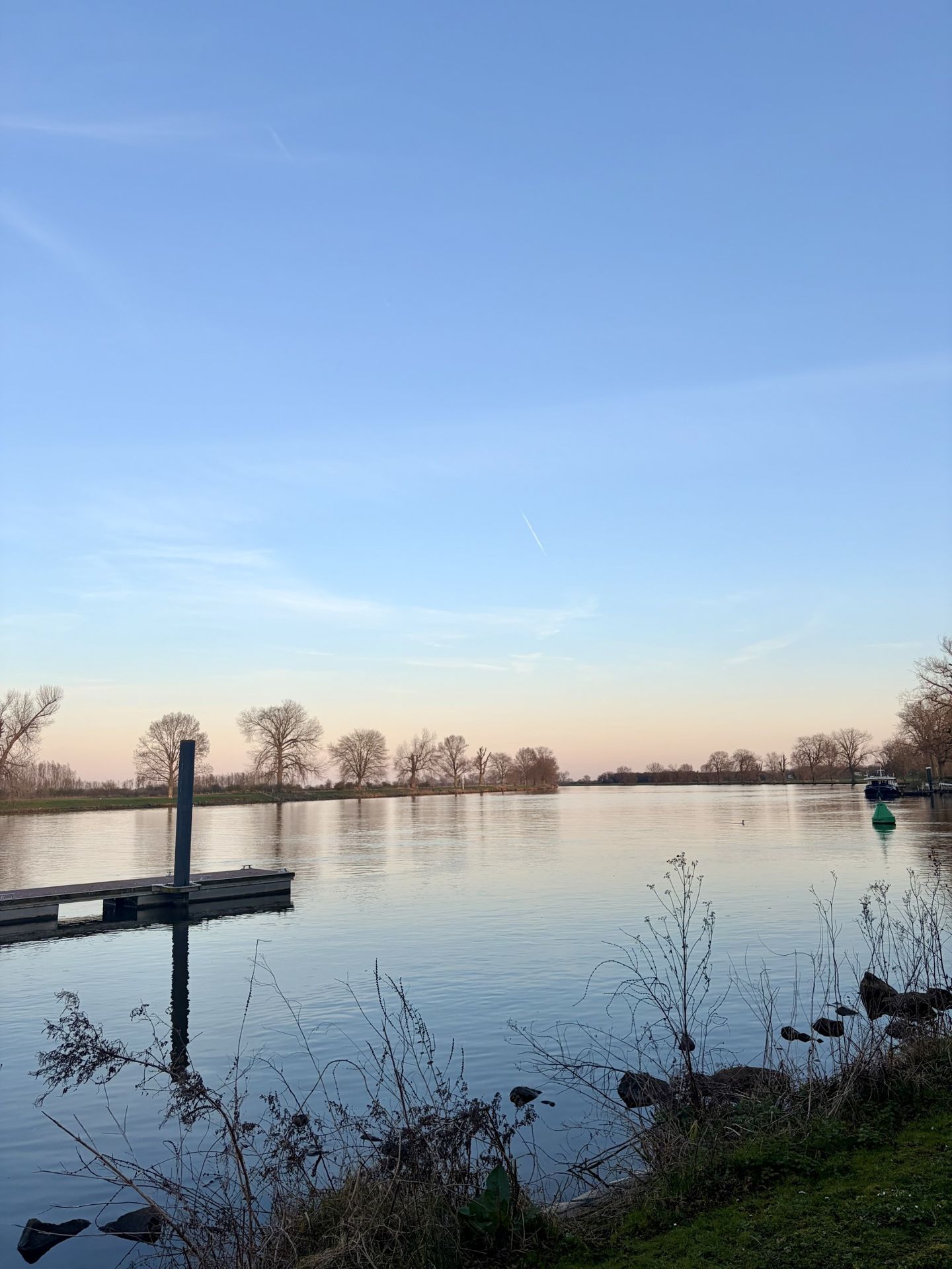 Foto 55 van Rogstraat 18