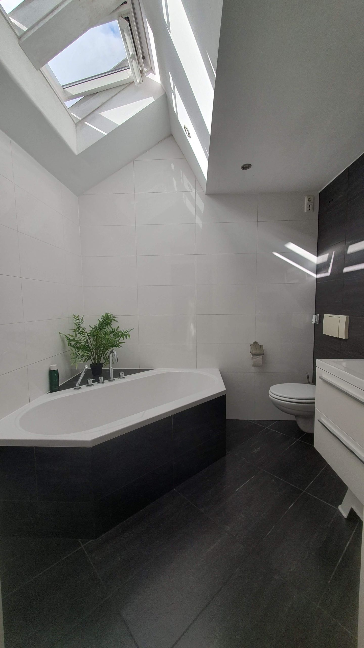 Foto 10 van Jan Scheplaan 12