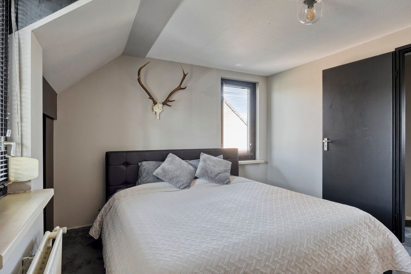 Foto 19 van Ripskant 18