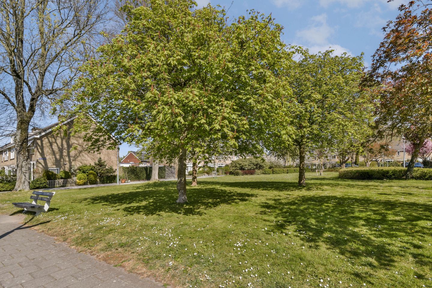 Foto 35 van Dellaertlaan 54