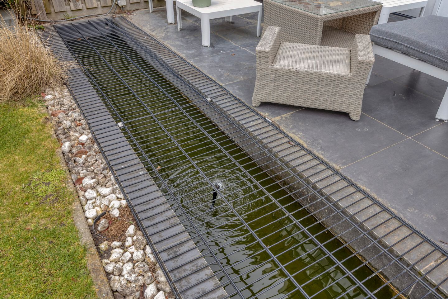 Foto 35 van Libel 26