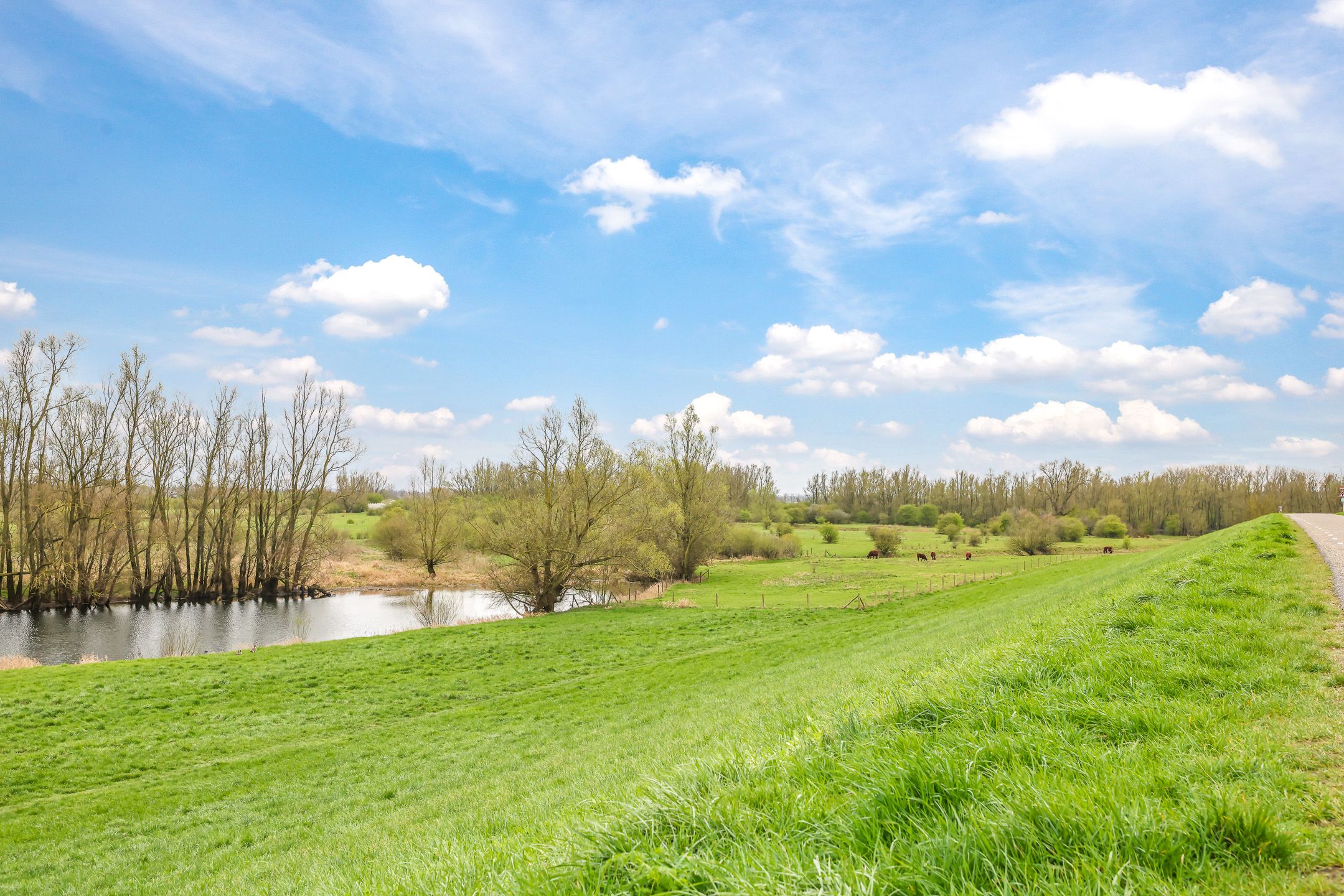 Foto 48 van Europalaan 6