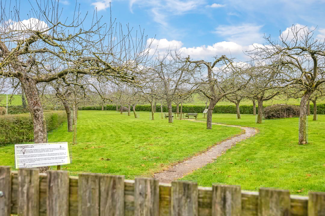 Foto 47 van Europalaan 6