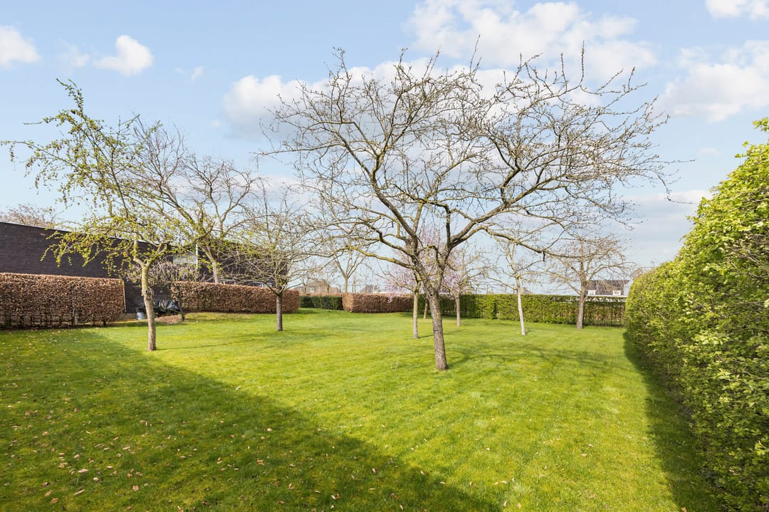 Foto 77 van Mulderstraat 19