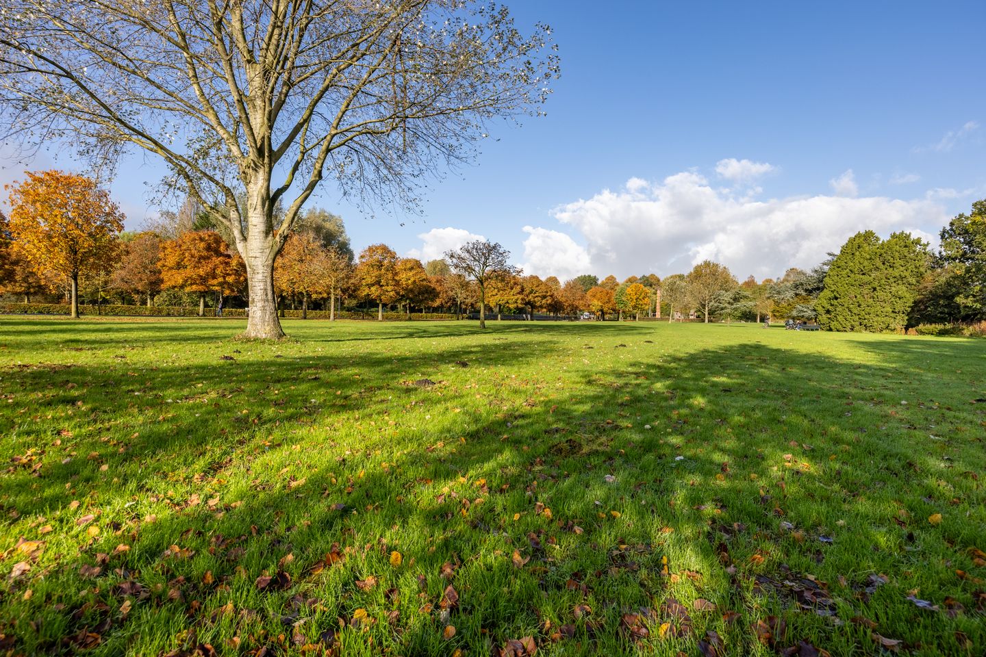 Foto 40 van Max Planckstraat 27-3