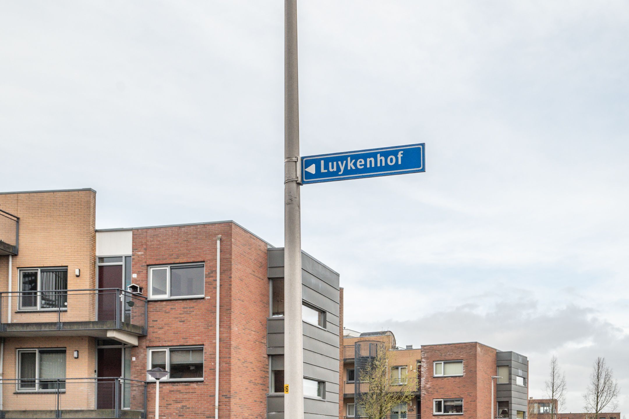 Foto 36 van Luykenhof 18