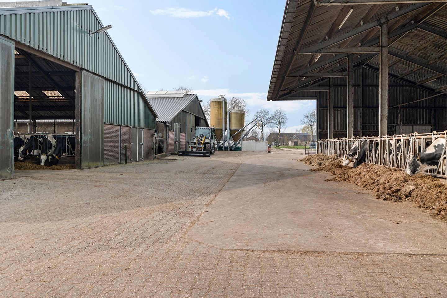 View photo 4 of Nijeveense Bovenboer 9