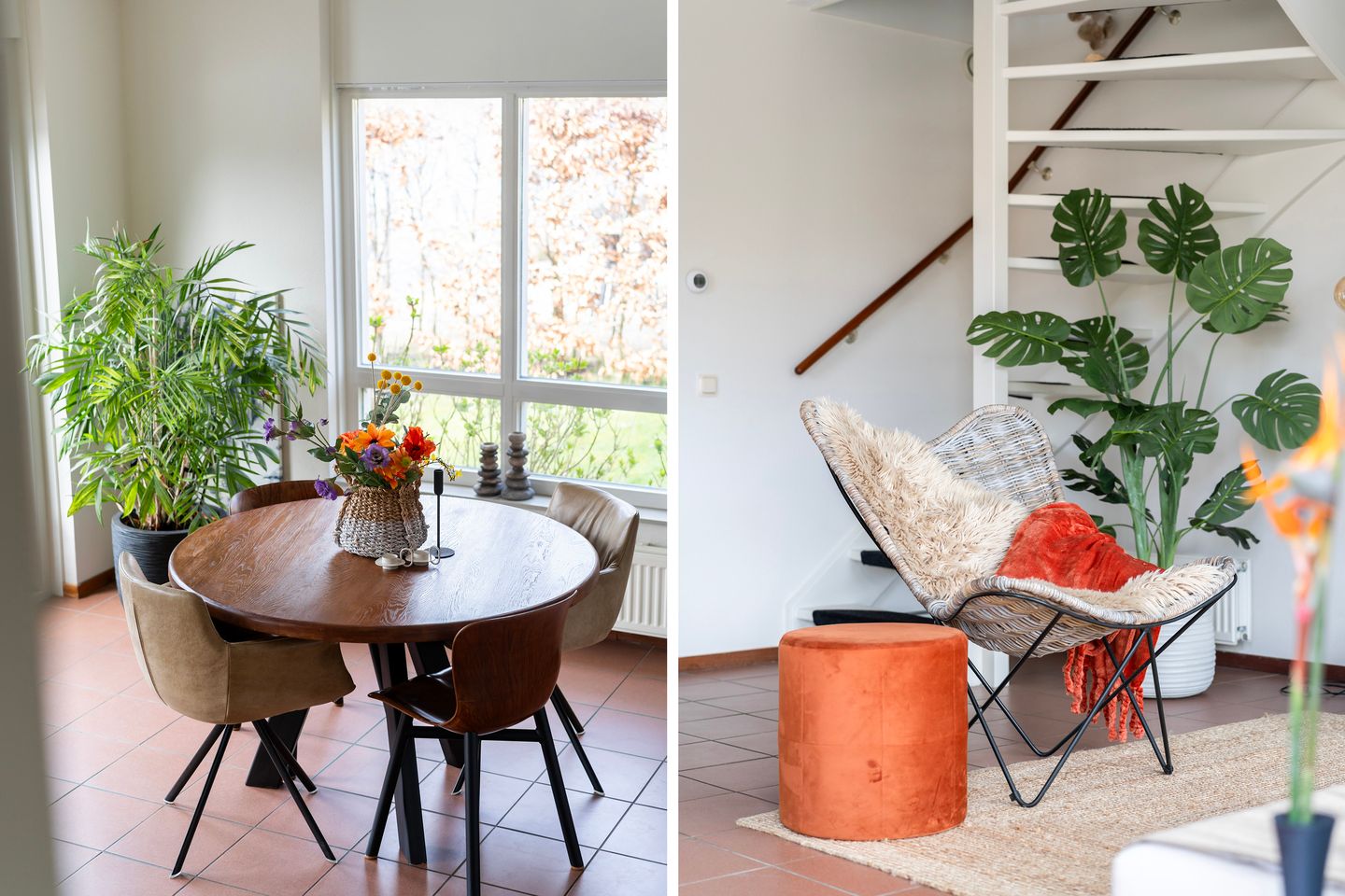 Photo 14 of Doniapark 136