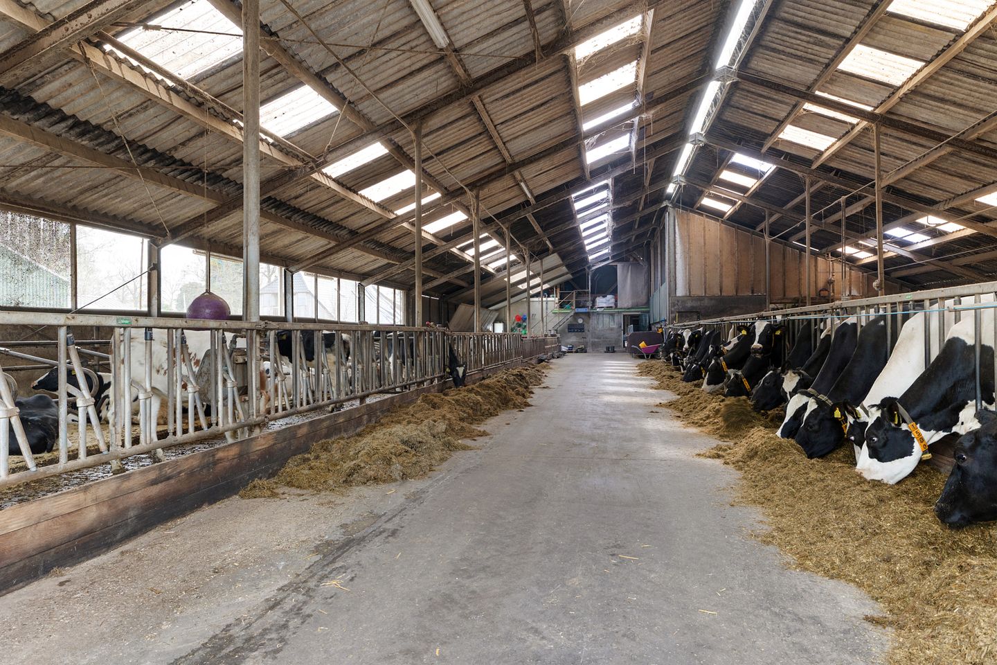 View photo 3 of Nijeveense Bovenboer 9