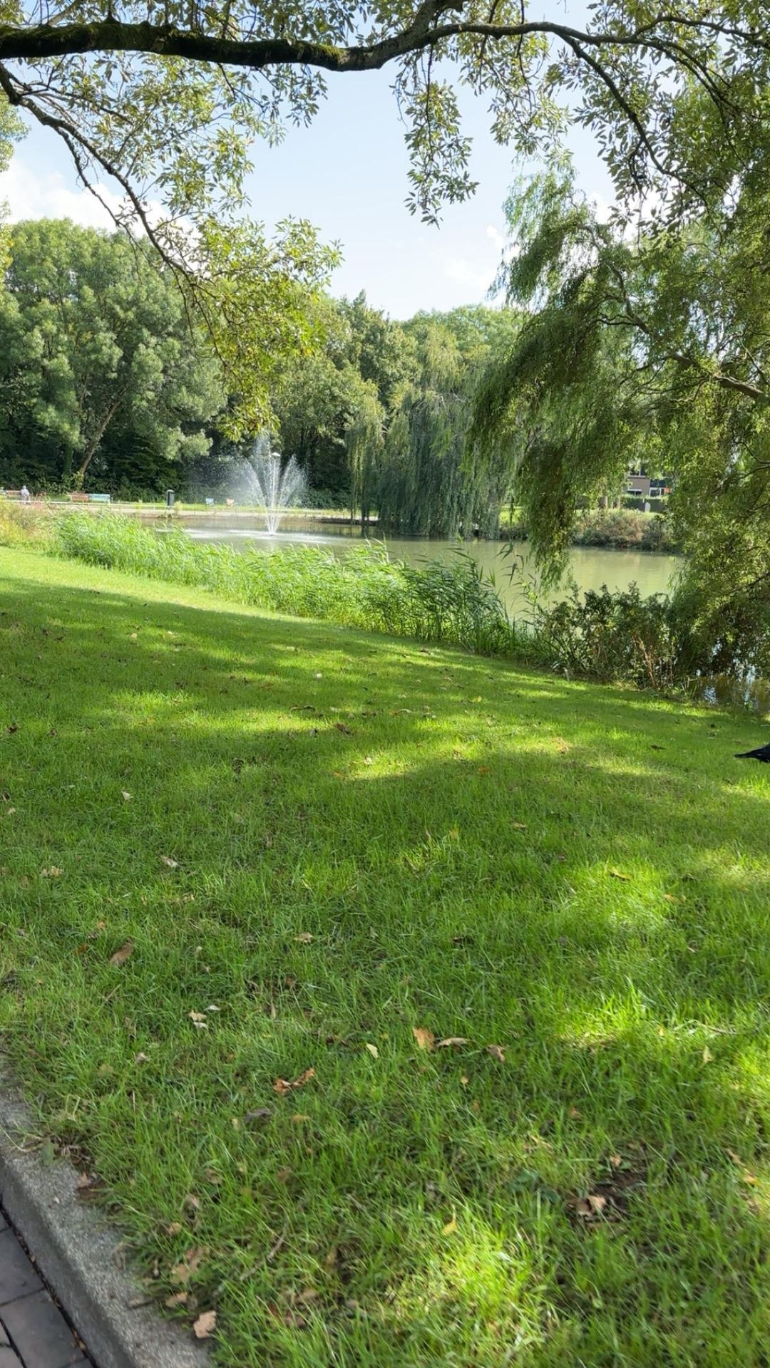 Foto 43 van Ridderplantsoen 13