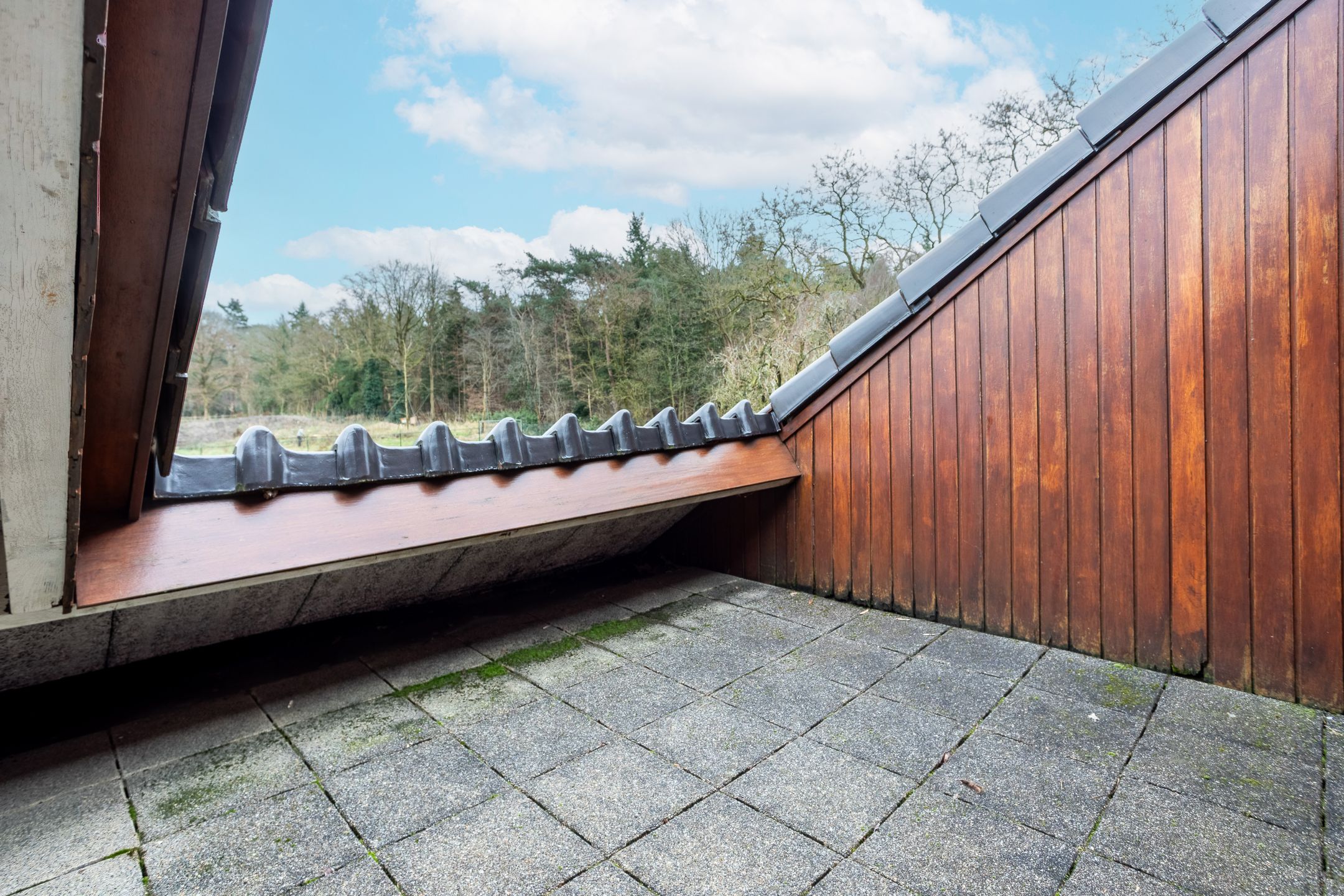 Unique Villa Bordering the Speulder- and Sprielderbos — 21