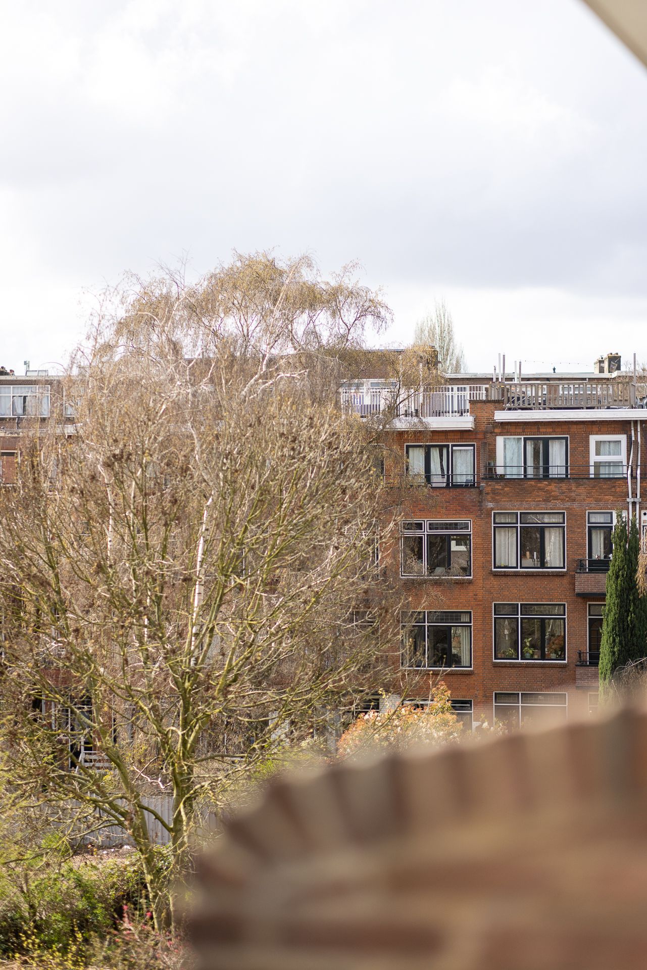 Photo 24 of Troelstrastraat 10-C