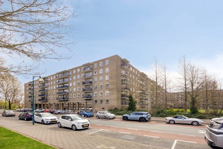 Foto 4 van Aert van Neslaan 326