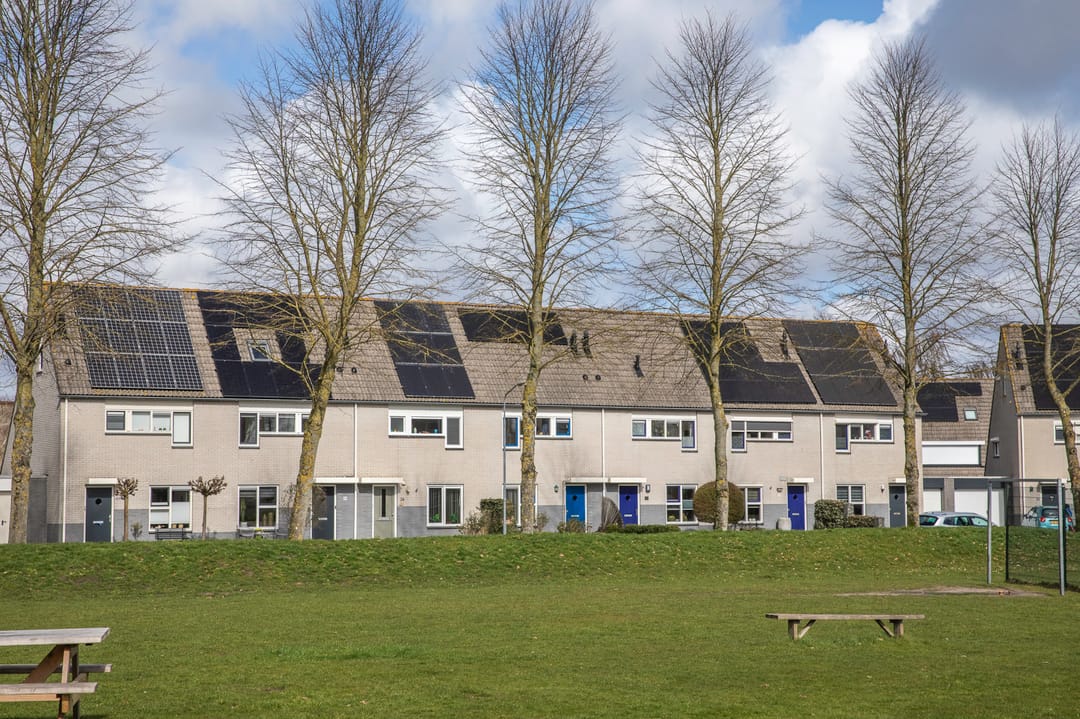 Foto 2 van Vlinderkleuven 20