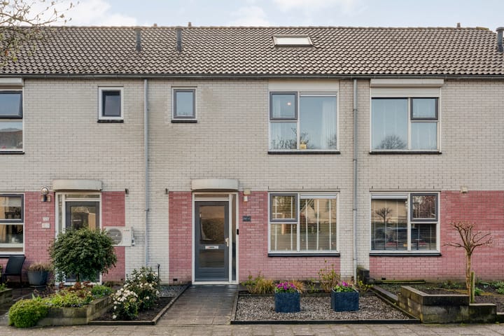 Photo 2 of Boterbloem 126