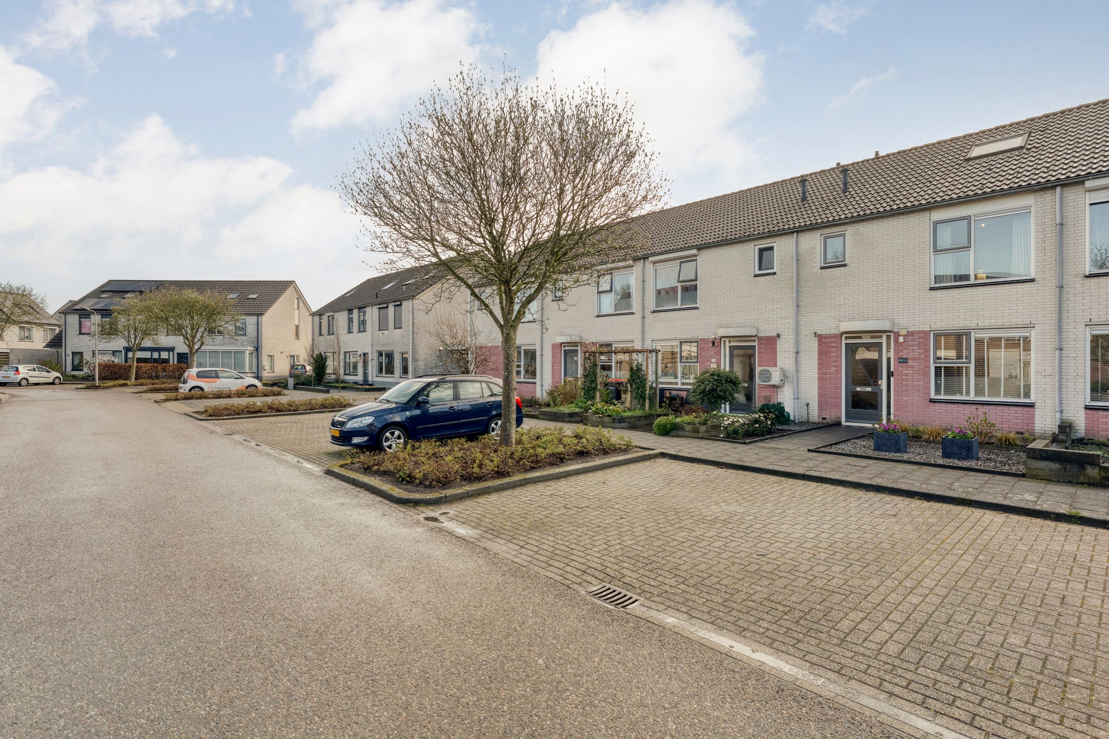 Foto 3 van Boterbloem 126