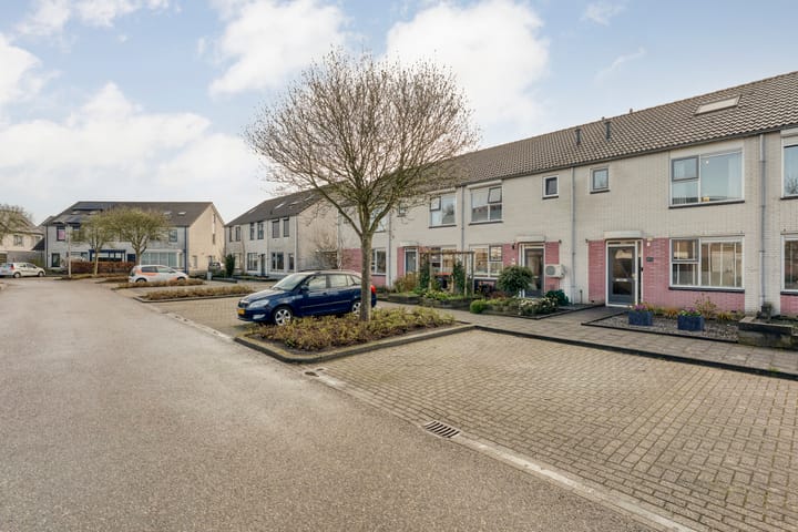 Photo 3 of Boterbloem 126