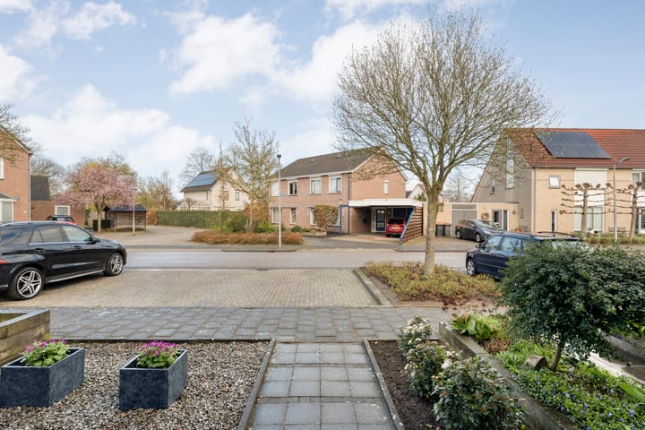 Photo 5 of Boterbloem 126