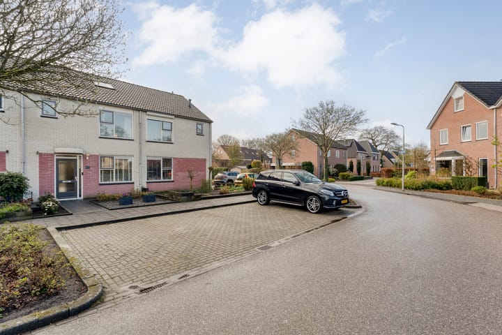 Photo 4 of Boterbloem 126