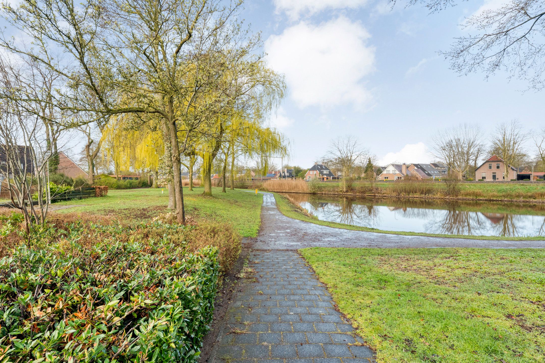 Foto 51 van Boterbloem 126