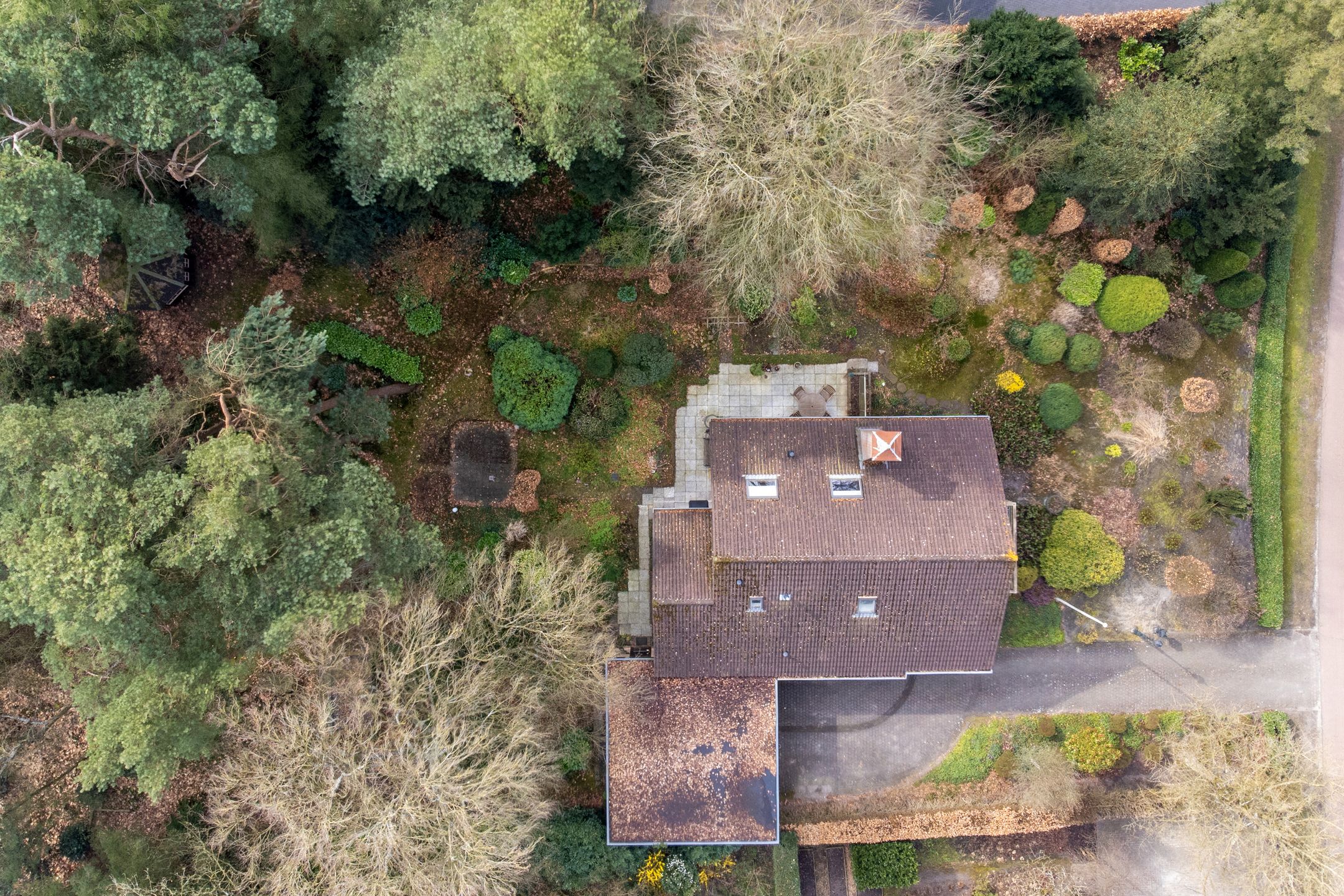 Photo 39 of F.A. Molijnlaan 76