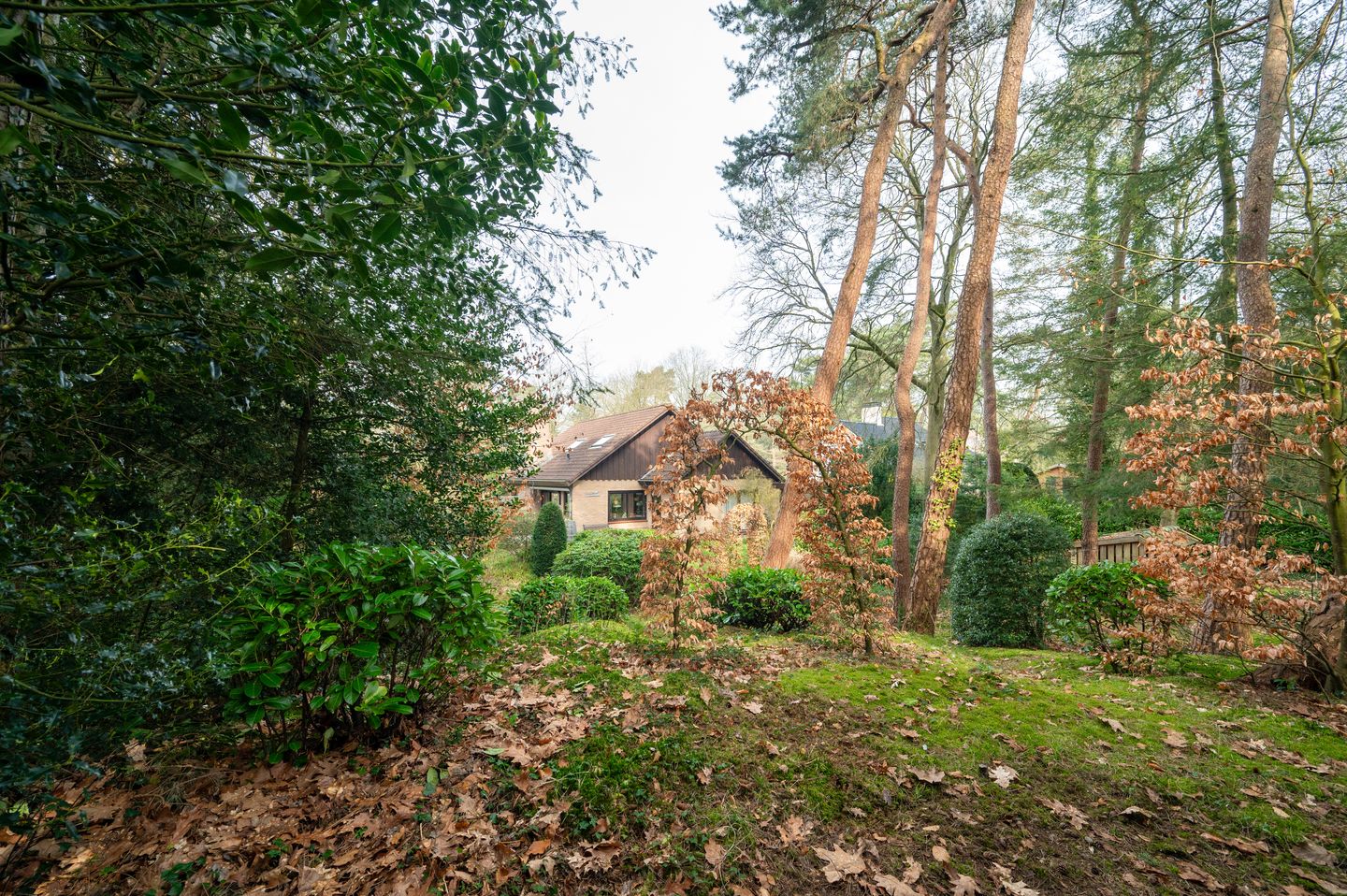 Photo 35 of F.A. Molijnlaan 76