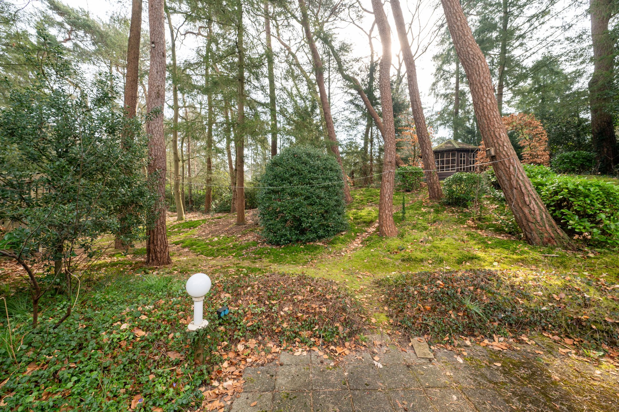 Photo 36 of F.A. Molijnlaan 76