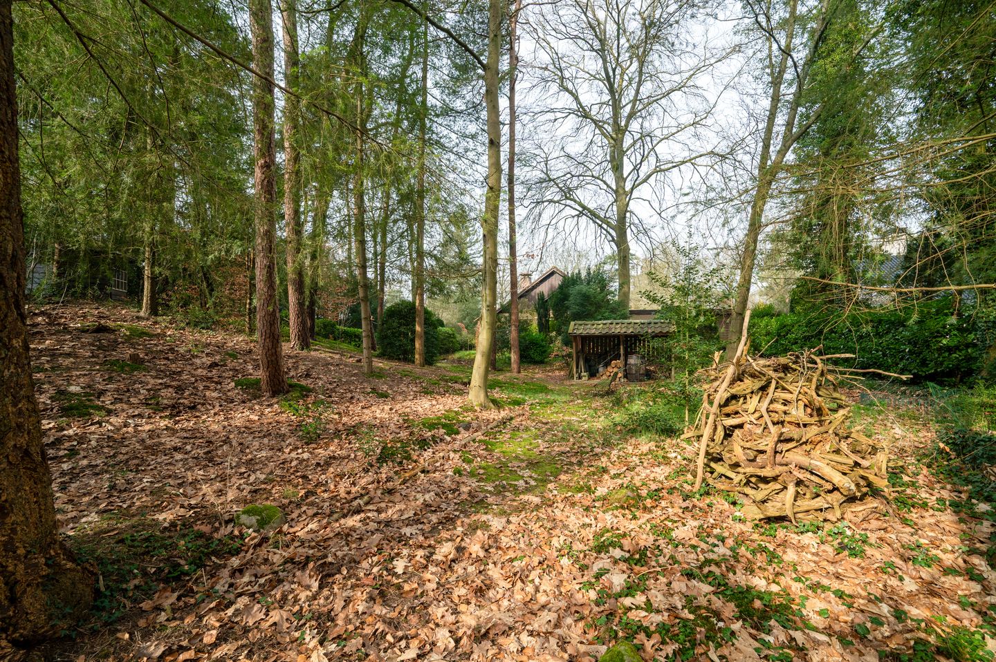 Photo 40 of F.A. Molijnlaan 76