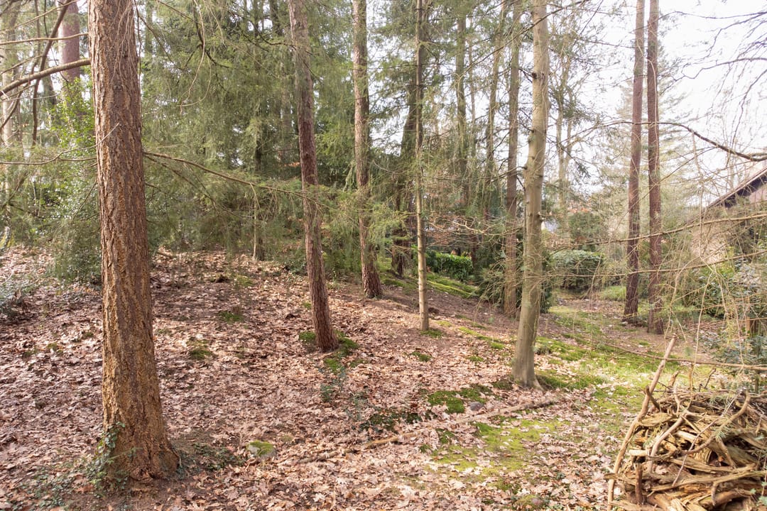 Photo 38 of F.A. Molijnlaan 76